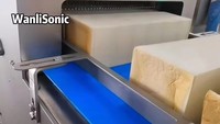 Équipement de boulangerie professionnel, machine à peler et à couper le pain Wanlisonic pour boulangerie