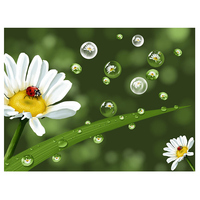 Peinture Diamant Ever Moment avec Strass, Motifs Animaux et Floraux, Artisanat pour Enfants, Décoration de Chambre, Articles de Bricolage 2021 4Y2109
