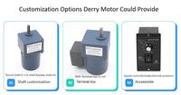 Motor de Inducción Trifásico de Alta Eficiencia IE3 con Control de Velocidad PWM de 6W-200W, Montaje con Brida, Totalmente Cerrado, Marca Derry