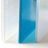 Plaque de bardage mural et de plafond en polycarbonate, panneau industriel transparent pour serres, pour hôtels, extérieur, en plastique PC alvéolaire