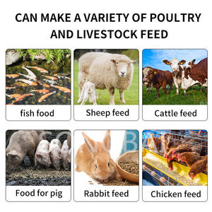 New Small Poultry Pelletizer Machine for Animal Feed Processing 800kg/h Capacity 380V Adjustable Voltage - Product Image 3