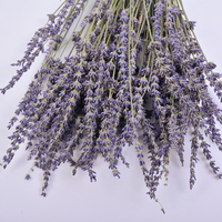 Tanaman Alami Kering Asli Reed Bunga Kering Provence Lavender Tandan untuk Pengaturan