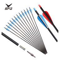 Arc à poulies et flèches de chasse professionnel SPG Archery : flèches en bambou, fibre de verre et carbone, accessoires d'extérieur