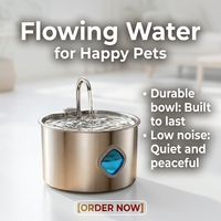 Fontaine à eau automatique pour chat et chien en acier inoxydable 3,2 L avec fenêtre de niveau d'eau, disponible en OEM