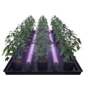 720W <span class=keywords><strong>LED</strong></span> dưới tán <span class=keywords><strong>LED</strong></span> cố định trình điều khiển riêng biệt 3.0ppe cao màu đỏ thêm màu đỏ xa tăng trưởng của bóng râm lá <span class=keywords><strong>LED</strong></span> phát triển chiếu sáng - Product Image 5