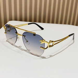 Occhiali da Sole Retro 2025 Senza Montatura Taglio a Diamante Doppio Ponte Aste Leopardate Lenti in Policarbonato - Product Image 2