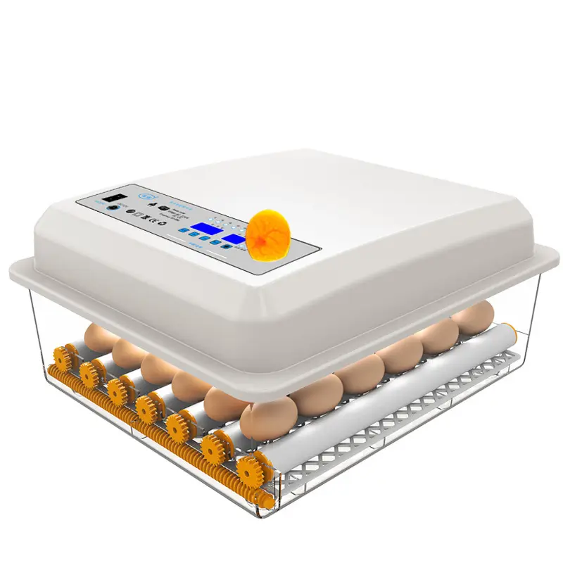 Inkubator otomatis mini untuk bayi, inkubator 1000 telur otomatis dengan 128 64 telur, inkubator Harga untuk bayi