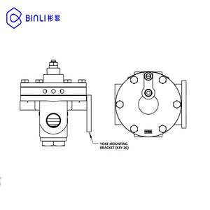 2625 amplificateurs de volume avec DVC6200 et contrôle chinois OEM - Product Image 1