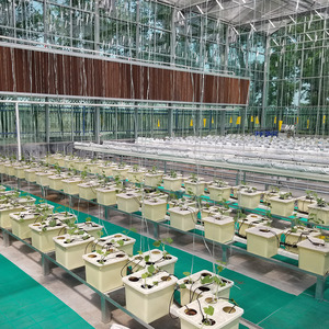 Seau de culture pour serre hollandaise, seau de plantation imperméable pour <span class=keywords><strong>balcon</strong></span> familial, plantation de légumes, de fraises et de fruits - Product Image 3