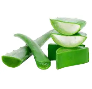 Aloe Vera Gel 100% Pure Organic Aloe Vera Gel for Skin Natural Aloe Vera Gel from Indian Supplier