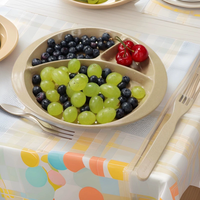 Moderne, milieuvriendelijke, duurzame rijstschil-vormige snackbord met compartimenten voor kamperen - noten, fruit, snoep