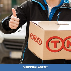 Vận chuyển hàng hóa giao nhận dịch vụ biển Express không khí vận chuyển hàng hóa vận chuyển <span class=keywords><strong>container</strong></span> từ <span class=keywords><strong>Ningbo</strong></span> thâm quyến Quảng Châu để IRAQ - Product Image 6