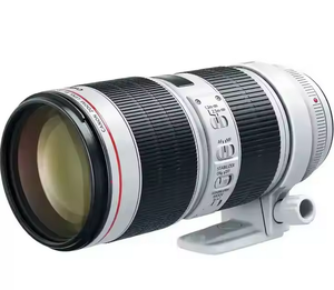 EF 28-300mm F/3.5-5.6 L IS USM - Product Image 1