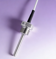 CWDZ03 Star Meter PT100 Temp Transmitter, Probe Baja Tahan Karat Industri, Tahan Air IP68 Akurasi Tinggi Layanan Kustom OEM ODM