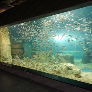 REDFIN Acrylic Fish Tank Transparent Custom Size Modern Luxury Style UV Resistant <b>Food</b> Grade Material 10-Year Warranty Cutting - Product Image 3