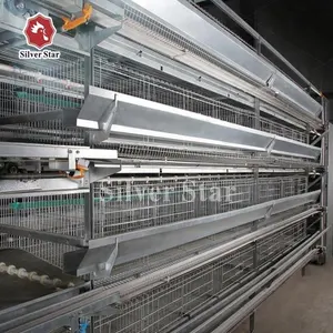 Silver Star Poultry Chicken Cage New Design Egg Laying Cages For Poultry Farm
