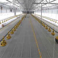 Nouvelle ferme intelligente pour poulets de chair à structure en acier équipée d'un système de contrôle de la température et de prévention des maladies