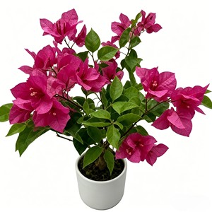 High Quality Real Touch Artificial Silk Bougainvillea <b>Trees</b> Durable Indoor Desktop Plants - Product Image 5