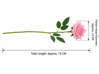 Bunga Mawar Artifisial YM Berkualitas Tinggi 73cm, Sentuhan Asli Austin Rose untuk Dekorasi Pernikahan, Tahun Baru, Paskah