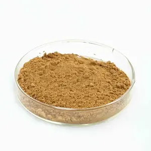 OEM/ODM 개인 상표 유기농 은행 나무 <span class=keywords><strong>Biloba</strong></span> 추출물 10:1 허브 보충 은행 나무 <span class=keywords><strong>Biloba</strong></span> 추출물 분말 - Product Image 4