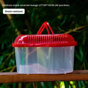 Grande moyenne petite boîte de transport transparente pour animaux de compagnie en toutes saisons boîte de transport  réservoir - Product Image 6