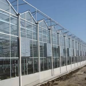 Serre en verre pour la culture des carottes, irrigation de précision et conception de sol aéré, rendement élevé en racines - Product Image 2