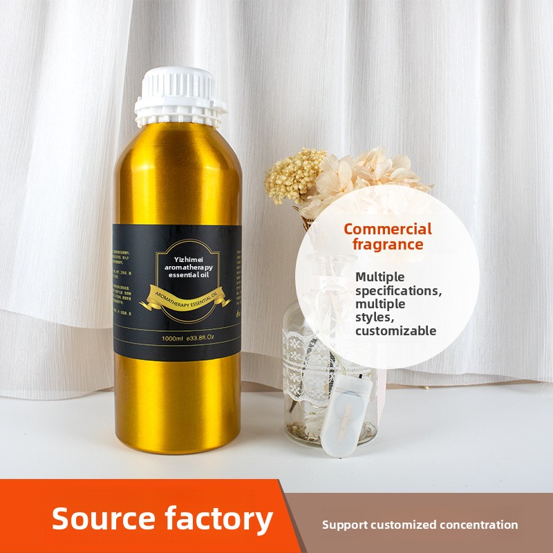 Bouteille en aluminium argenté 500ML