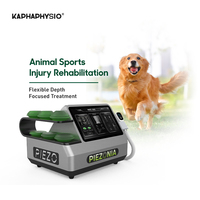 Équipement de thérapie par ondes de choc piézoélectriques pour chevaux, chiens, chats, animaux, médecine sportive, physiothérapie, usage en clinique vétérinaire