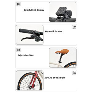 QUEENE OEM Motor Central de largo alcance <span class=keywords><strong>28</strong></span> pulgadas 250W <span class=keywords><strong>bicicleta</strong></span> eléctrica de montaña Ebike SUSPENSIÓN COMPLETA <span class=keywords><strong>bicicleta</strong></span> híbrida para adultos - Product Image 2