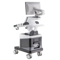 Machine à ultrasons Doppler couleur AI 3d 4d cardiaque haut de gamme Longermay Machine à balayage médical