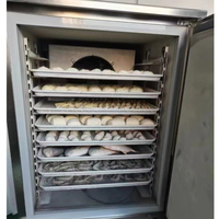 Congélateur rapide commercial mini 5 plateaux 300L en acier inoxydable 201, automatique, sans givre, à température unique
