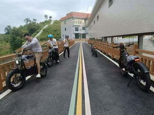 จักรยานเสือภูเขาไฟฟ้า Eahora Romeo DL2000 ขนาด 20 นิ้ว โครงเหล็กกล้าคาร์บอนความแข็งสูง แบตเตอรี่ลิเธียม 52V 30AH - Product Image 6