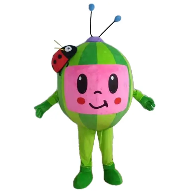 Funtoys CE Cartoon Character Melon Mascot Costume Halloween Traje Cartoon Suit Custom Fancy Dress Party For Adult