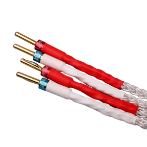 AVplay AV-0804-Cable de altavoz bialámbrico HiFi de alta calidad, cubierta plateada de cobre, Cable de puente dorado - Product Image 3