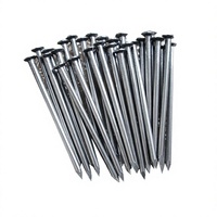 Clous en bois courants à tête plate et pointe effilée, plusieurs options de taille, distributeur de quincaillerie, prix compétitif OEM