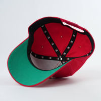 Casquette de baseball snapback 5 panneaux brodée à visière incurvée, taille unique, style streetwear, logo personnalisé, multicolore, fabrication OEM