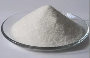 High Quality Low Price Offwhite Powder Organic Chitosan Powder