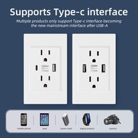 SLS 118 Type US Standard 15A Power Wall Socket Glass/PC Panel avec deux prises 2 Ports Type-C Chargeur USB 110-250V