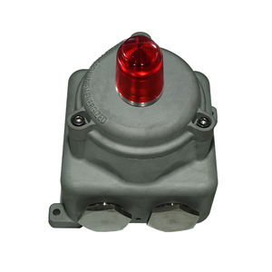 Unidad de Control a Prueba de Explosiones IECEX Zona 1 IP66 con Indicador de Botón Pulsador y Medidor de Moneda, Sistemas Duales y Tripartitos Opcionales - Product Image 5