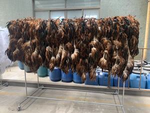 40-45Cm Cock Coque Đuôi Gà Dậu Lông Cho Thủ Công Tự Làm Trang Phục Hat Phụ Kiện Sân Khấu Đảng Lễ Hội Kỳ Nghỉ Trang Trí Đám Cưới - Product Image 2