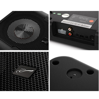HiVi Hi-Fi Manufacturers Wholesale Double 6 Inch  Woofer Design V6 Active 120w Car Subwoofer