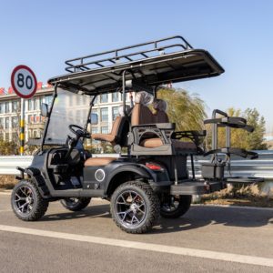 Carrito de <span class=keywords><strong>Golf</strong></span> Eléctrico Todoterreno de 14 Pulgadas, Homologado para Calle, <span class=keywords><strong>Precio</strong></span> Económico, 60v, 4 Plazas, Directo de Fábrica - Product Image 1