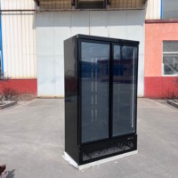 Réfrigérateur de présentation de boissons à fréquence variable et à économie d'énergie avec technologie Inverter