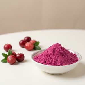 Polvo de Jugo de Arándanos Instantáneo en Oferta, Ingrediente para Bebidas, Gran Stock Disponible - Product Image 1