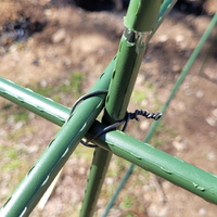Piquets de soutien robustes en métal et plastique vert pour plantes grimpantes et tiges de soutien pour légumes et fleurs (vente en gros)