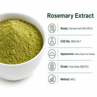 LCHBIO Extrait de Romarin en Vrac 20% Acide Carnosique en Poudre 3650-09-7 Extraction par Solvant 20% de Contenu Qualité Alimentaire (Aliment Santé) Naturel