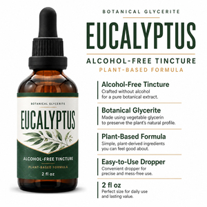 Private <b>Label</b> Alcohol-Free Extract High-Potency 800 mg Herbal Made Certified Organic Eucalyptus Liquid Drops Antioxidant - Product Image 5