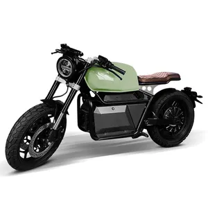 ER200 EEC 2024 yeni ürün 72v yüksek hız 95 km/s 6000w yetişkin Off-Road elektrikli Retro motosikletler