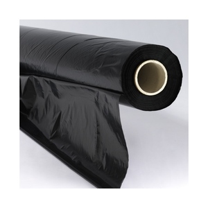 LDPE foglio di copertura, spessore: 30 my, rotolo: 1200 x 1600 mm, nero opaco, perforato a 250 pezzi - Product Image 2