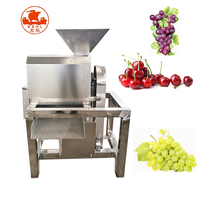 Lage Prijs Fruit Ontsteniging Avocado Destoner Aardbei Pulper Machine En Pulping Machine